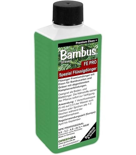 bambus wonderwall Wall Mural - Bamboo Exotic