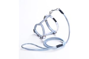 Koomuao Ensemble Harnais et Laisse pour Chat Anti évasion Harnais Léger pour Chaton en Nylon Respirante Facile à Contrôler avec Bandes pour la Marche et Le Voyage (Bleu, M)