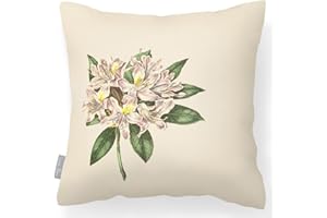 Izabela Peters Outdoor Cushions Waterproof, 43 cm, Filled Outdoor Cushion, Vintage Rhododendron - Cream, Garden Furniture Cushions, Outdoor Seat Cushions, Garden Chair Cushions