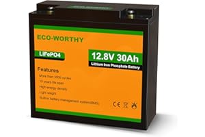 ECO-WORTHY Akumulator litowy LiFePO4 LiFePO4 akumulator litowo-żelazowo-fosforanowy do ładowania z ponad 3000 głębokimi cyklami i ochroną BMS, idealny do szopy, łodzi, kosiarki do trawnika/jazdy samochodem/silnikiem trollingowym