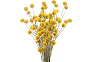 HUAESIN 30pcs Ramo de Flores Secas Decoracion Pequeñas Bolas de Craspedia Secas Amarilla Flor Seca Natural para Manualidades Ramo de Boda Hogar Jarrones Mesa Fiesta Navidad Otoño Diametro 2cm
