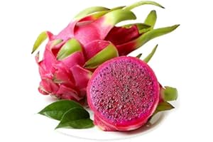 QMXC 20Pcs Pitaya Fruit Seeds Delicious Red Dragon Fruit Vine Tree Seed for Home Garden Yard Ourdoor Planting