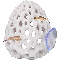 Jouets Pour Poissons Betta, Tunnel Noir Pour Betta, Petite Cave à Trous