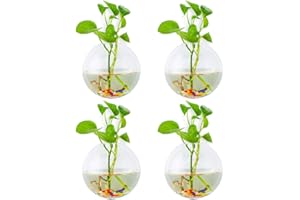 GLASSEAM Wall Hanging Glass Planters 4Pcs Spherical Shape Plant Pots Terrarium Container Vase with 4.24 OZ Colorful Stones Indoor Outdoor for Home Garden Office Wedding