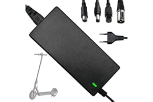 Lotvic Caricatore Monopattino Elettrico, Caricabatteria per Scooter, Caricatore Universale con 4 Connettori per Hoverboard, Scooter Elettrico, Bici Equilibrata, Drifting Board, Scooter Xiaomi