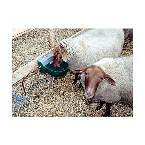 Suevia 1000130 Tränke SUEVIA Schwimmertränke Kunststoff Modell 130P mit 1/2″ AG - 2