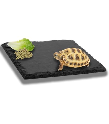 HAICN Spazzola Pulizia Tartaruga | Doppia Faccia Per Guscio E Habitat | 2 Pezzi Blu E Verde - Foto 13