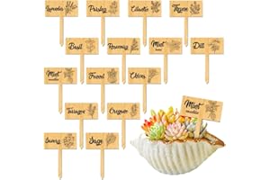 arricraft 15 Uds Etiquetas de Plantas, Marcadores de Hierbas de Madera Etiquetas Tipo T de Hierbas Etiquetas de Jardín con Nombre de Hierba Impreso Estacas de Jardín de Madera para Hierbas