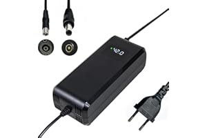YANGZIDIANYUAN Chargeur de Batterie 42V 5A, adapté aux Batteries Lithium 36V, Velo Electrique, trotinette Electrique, équipé d'un connecteur RCA 8mm DC 5.5 * 2.1mm GX12 9mm