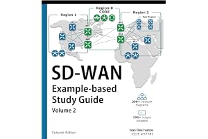 SD-WAN: Example-based Study Guide: Volume 2