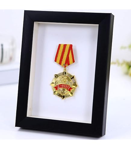 PATIKIL Boîte D'Affichage de Médailles, Cadre D'Affichage de 4 Médailles, Boîte D'Ombre de Médaille, Cadre D'Affichage de Médailles de Sport pour Marathon, Natation, Peuplier A4 PATIKIL Boîte D'Affichage de Médailles, Cadre D'Affichage de 4 Médailles, Boîte D'Ombre de Médaille, Cadre D'Affichage de Médailles de Sport pour Marathon, Natation, Peuplier A4