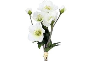 ‎CREATIV GREEN CREATIV green künstliches Christrosen-Arrangement 35cm in weiß I Christrosen künstlich mit naturgetreuen Blüten I hochwertige Blumen künstlich ideal als Indoor- oder Weihnachts-Deko