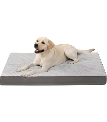 kratzbaum b-ware B-Ware: PCT6007