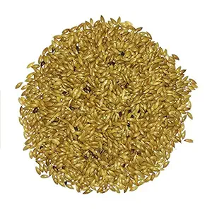 The Muster Pet Zone Premium Canary Seed Bird Food, 450 g