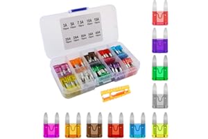 Aiqeer 130 Pezzi Auto Mini Fusibile Set, Piccolo Fusibile a Lama, con Fusibili Estrattore, per Auto Moto Barche (3A 5A 7.5A 10A 15A 20A 25A 30A 35A 40A)