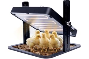 BECEMURU Brooder Heater for Chicks, 45°C to 70°C Temperature Control Chick Brooder Heating Plate 25*25cm, Height Adjustable Incubator Chick Brooder Heater, Suitable for 15 Chickens