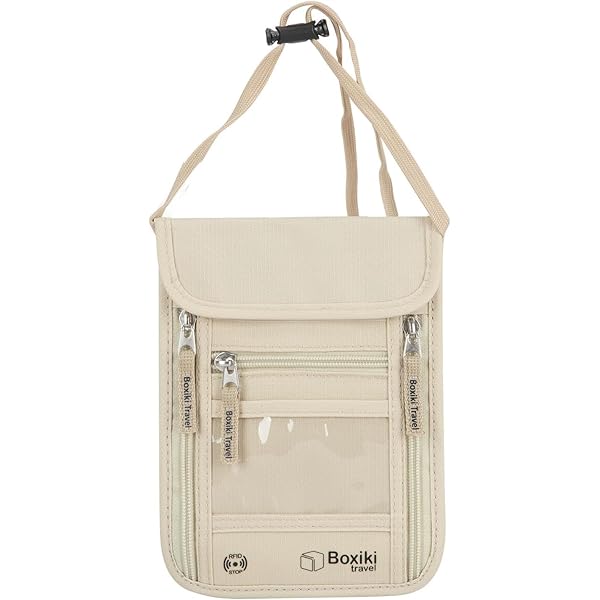 Samsonite TA Revolution, borsello da collo RFID, sicuro e compatto, portatile sotto i vestiti, borsello da collo da viaggio per passaporto, carte di credito e contanti, grigio (Eclipse Grey