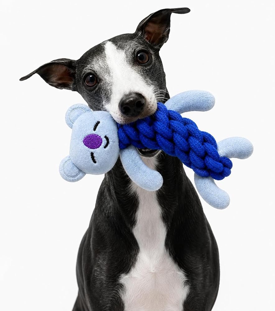 getmeev Köpekler İçin Halatlı Peluş Isırma ve Çiğneme Oyuncağı, Yumuşak Dokulu Hayvan Figürlü Oyun Oyuncağı, Isırma Taşıma ve Çekiştirme İçin Eğlenceli Aktivite Oyuncağı - Mavi Koala