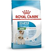 Royal canin Mini Starter Mother Baby Dog 4 Kg Yavru K&ouml;pek Maması