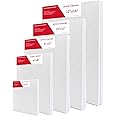 S & E TEACHER'S EDITION 10 Pcs Stretched Canvases with Multi Size Pack, 4x6, 6x8, 8x10, 10x12, 12x14, for Painting, Acrylic Pouring, Oil Paint & Watercolor Art Media