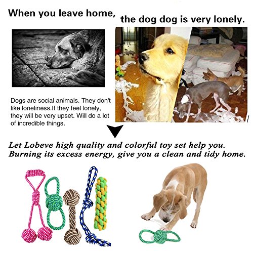 Lobeve-Dog-Chew-Toys-5-Pack-Gift-Set-Durable-puppy-Rope-Toy-Small-Set
