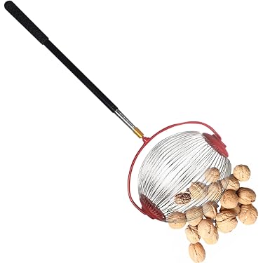 Ramasse-noix Télescopique à Rouleaux - Longueur Réglable 46-150cm - Acier Inoxydable - Pour Châtaignes, Noix, Noisettes, Glands - 2