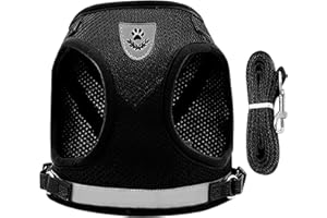 HRILKAOD Ensemble de Harnais et Laisse pour Chat, Harnais Chaton Petit Chien Anti-Évasion Léger et Confortable Gilet Respirant pour Lapin Chat Chiot, pour la Marche et Le Voyage, Noir