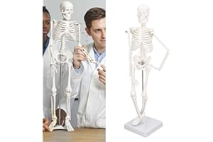 FYEARFLY Model anatomiczny ludzkiego szkieletu, 45 cm, mini szkielet, PCW, struktura kości ludzkiego ciała z ruchomymi ramionami, nogami i stojakiem