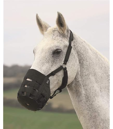 Grade A - Clearance] Shires FreeGraze AirFlow Grazing Muzzle X-Full B