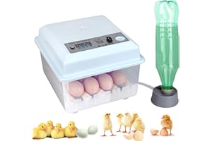 Safego 16 Egg Incubators for Hatching Eggs Automatic Turning, Incubator with Temperature Control Automatic Water Filling Humidity Control, Home Incubator for Hatching Chincken Duck Bird Quail Pigeon