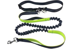 Aiqeer Grigio Guinzaglio Cani Mani Libere, Cintura in Vita Regolabile e Guinzaglio Elastico Retrattile, Guinzaglio Cani Jogging con Cuciture Riflettenti (Manico Verde)