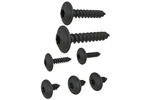 AUPROTEC Vis à Tôle TORX tête bombée plate avec rondelle galvanisé noir: 3,9 x 19 mm, 10 pièces