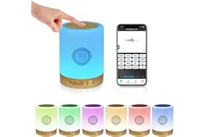 Swthlge xinwei SQ112 uppladdningsbar Bluetooth koranöversättare