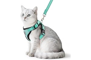 PUPTECK Cat Harness and Lead Set Escape Proof Reflective Cat Walking Harness Adjustable Soft Breathable Mesh Vest for Small Pets, Aquamarine S