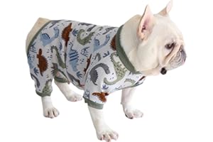 BT Bear Fat Dog Clothes,Autumn Winter Soft Warm Dog Pajamas Jumpsuit Pug Bulldog Onesies Clothes Costume for Cats Puppy Small Dogs Medium Dogs (Green Dinosaur, S: back length 29-32cm)