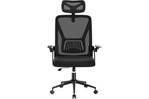 naspaluro Ergonomic Office Chair for Desk with Flip-up Armrests/Lumbar Support/Adjustable Headrest/Metal Claw, Comfy Swivel Heavy Duty Computer Study Chairs, Mesh Black Work PC Chair For Home Office