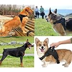 Motionjoy-Dog-Harness-Leash