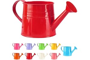 YOUNING Petite arrosoir pour plantes d'intérieur 1L - Petite arrosoir en métal - Pot à fleurs - Arrosoir de jardin - Arrosoir vintage - Arrosoir pour plantes - Outil de jardin (1 pièce/Rouge)