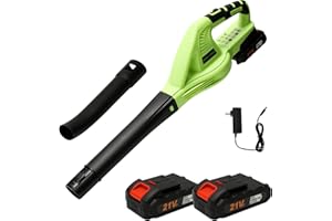 QAWNER Souffleur de Feuilles sans Fil 21V, 3000 W, Souffleur à Feuilles avec 2 Batterie, 2 Modes de Vitesse, Leaf Blower pour la saleté & Les Feuilles, Tube Amovible (7500mah)