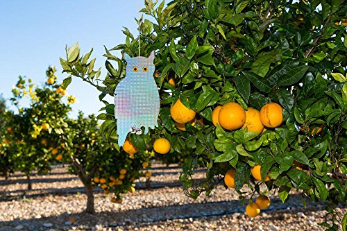 Neibo Vogelscheuche, Vogelschreck, Doppelseitig reflektierendes Vogelabwehr-Eule zur Abwehr von Vögeln, Rehen und anderen lästigen Tieren (2Stück) - 3