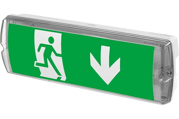 Éclairage de secours LED, IP65, pour sortie d’urgence