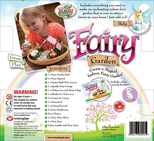 My Fairy Garden Fairy Garden