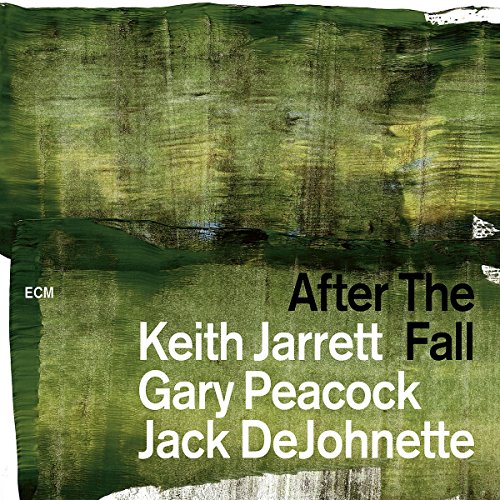 couverture de : After the fall
