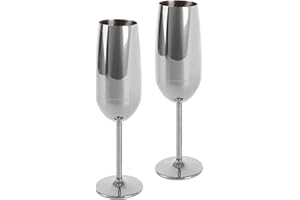 ECHTWERK EW-CG-1707 Bicchiere da Champagne, in Acciaio Inossidabile, 2 Pezzi, 250 Ml, Argento