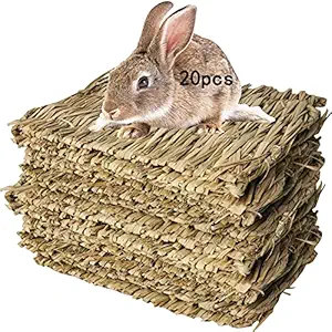 Hamiledyi 20 Pack Bunny Grass Mat Woven Bed Mat Natural Straw Hay Mats Rabbit Handmade Bedding Sleeping Grinding Nesting and Chewing Toy for Guinea Pig Hamster Chinchilla Squirrel Hedgehog