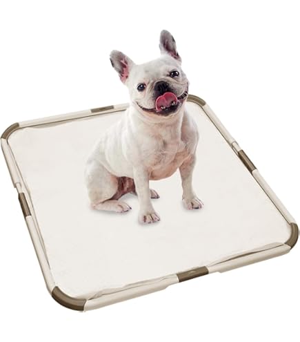 Arenero Gatos Cubierto De Adiestramiento Inodoro Interior Para