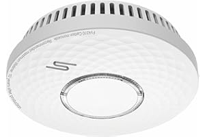 ELRO FV4310 Detector Combinado - Detector de Humo y monóxido de Carbono con batería de 10 años de duración