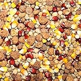 10kg CarpXL Karpfen Partikel-Mix mit rotem und gelben Mais