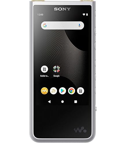 Sony NW-ZX707 Walkman 64GB Hi-Res Portable Digital Music Player
