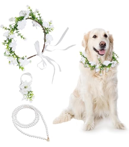 3-teiliges Hundehalsband-Set Für Hochzeiten – Mit Blume, Ringbox & Perlenleine (verstellbar)